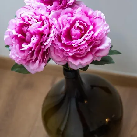 Apartman Vintasio *