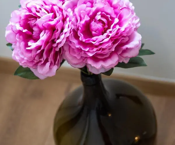 Apartament Vintasio *