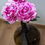 شقة Vintasio *