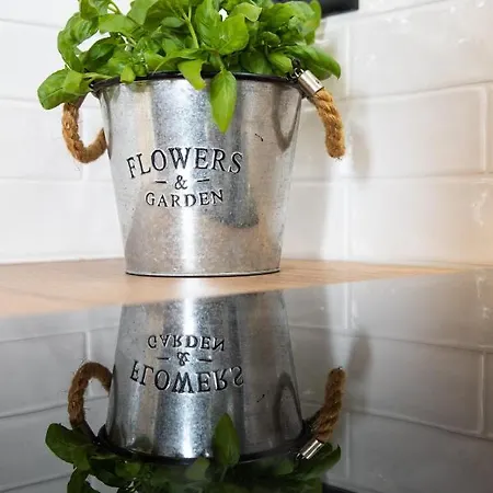 Vintasio Daire Rijeka